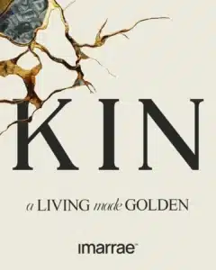 KIN New Cairo كمبوند كين التجمع الخامس