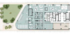 Mall City Stars park New Cairo